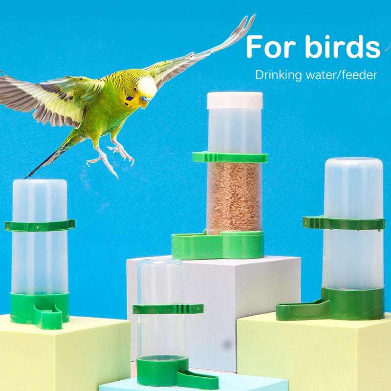 Bird Feeder Water Drinker Automatic